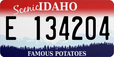 ID license plate E134204
