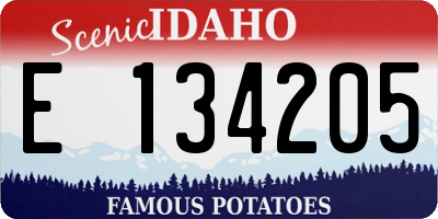 ID license plate E134205
