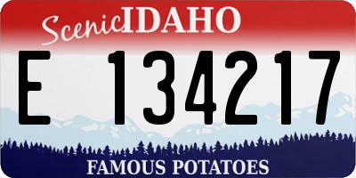 ID license plate E134217