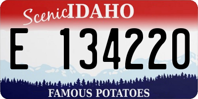 ID license plate E134220
