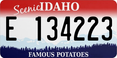 ID license plate E134223