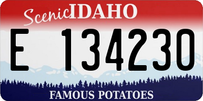 ID license plate E134230