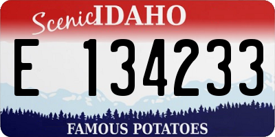 ID license plate E134233