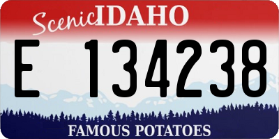 ID license plate E134238