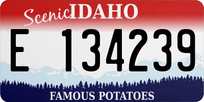 ID license plate E134239