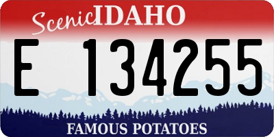 ID license plate E134255