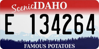 ID license plate E134264