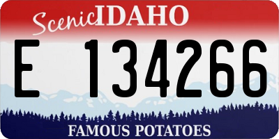 ID license plate E134266