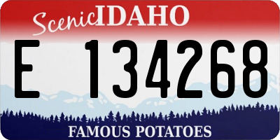 ID license plate E134268