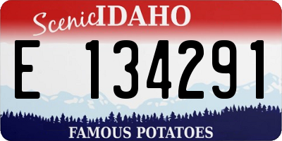 ID license plate E134291