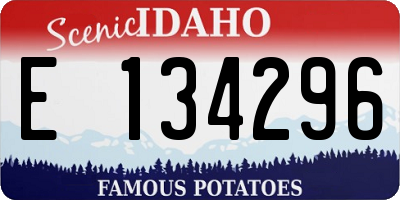 ID license plate E134296