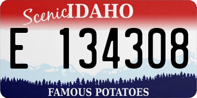 ID license plate E134308