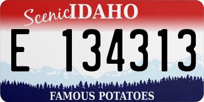 ID license plate E134313