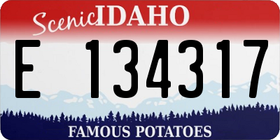 ID license plate E134317