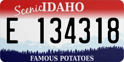 ID license plate E134318