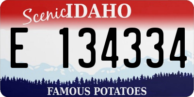 ID license plate E134334