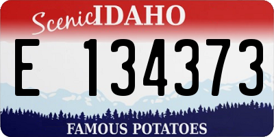 ID license plate E134373