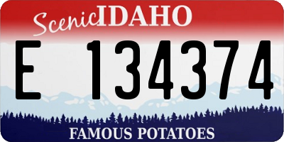 ID license plate E134374