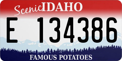 ID license plate E134386