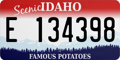 ID license plate E134398