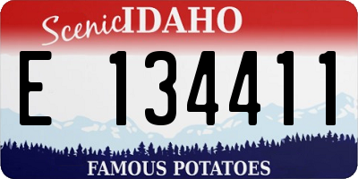 ID license plate E134411
