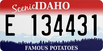 ID license plate E134431
