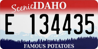 ID license plate E134435