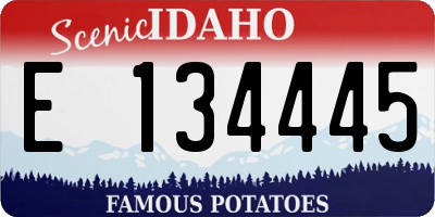 ID license plate E134445