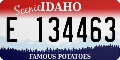 ID license plate E134463