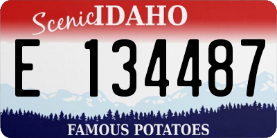ID license plate E134487