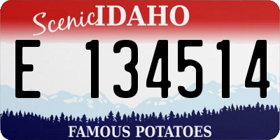 ID license plate E134514