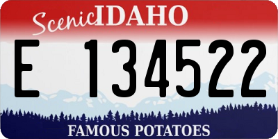 ID license plate E134522