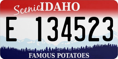ID license plate E134523