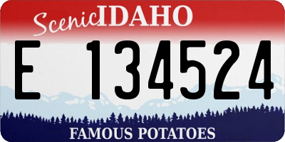 ID license plate E134524