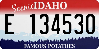 ID license plate E134530
