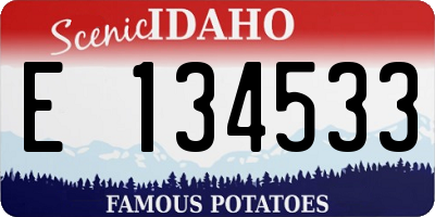 ID license plate E134533