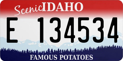 ID license plate E134534