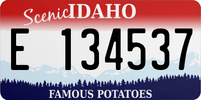 ID license plate E134537