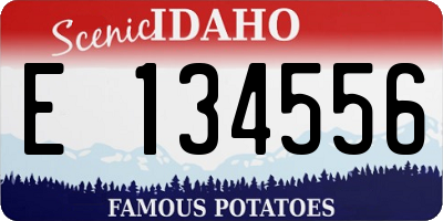 ID license plate E134556