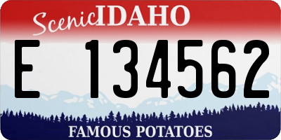 ID license plate E134562