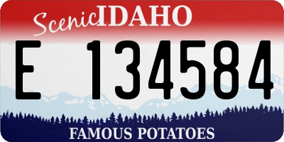 ID license plate E134584