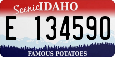ID license plate E134590