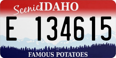 ID license plate E134615