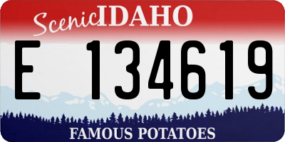 ID license plate E134619