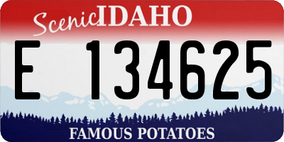 ID license plate E134625