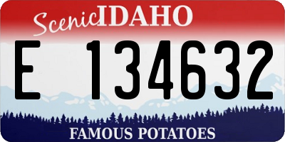 ID license plate E134632