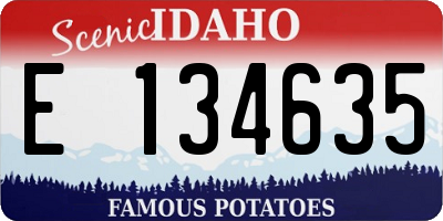 ID license plate E134635