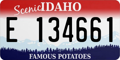 ID license plate E134661