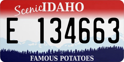 ID license plate E134663