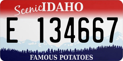 ID license plate E134667